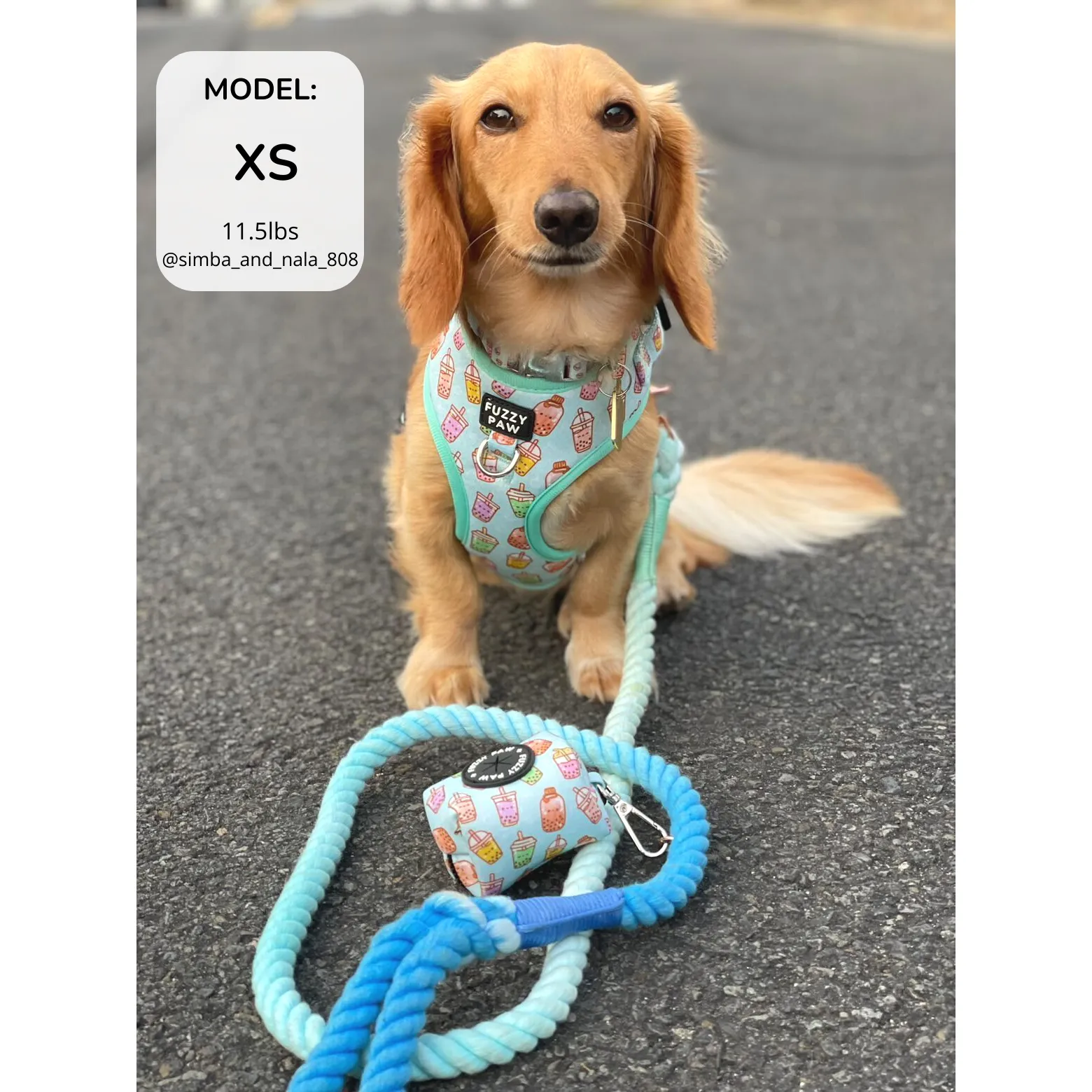 Adjustable Harness - Bobalicious