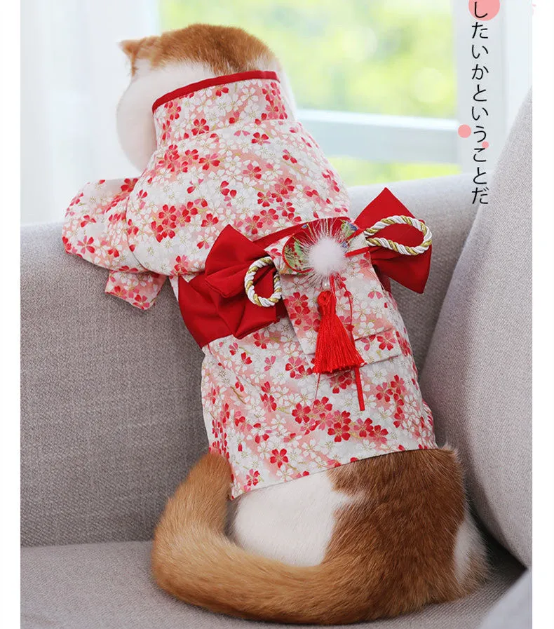 Cat Kimono – Traditional Japanese Outfit for Pets