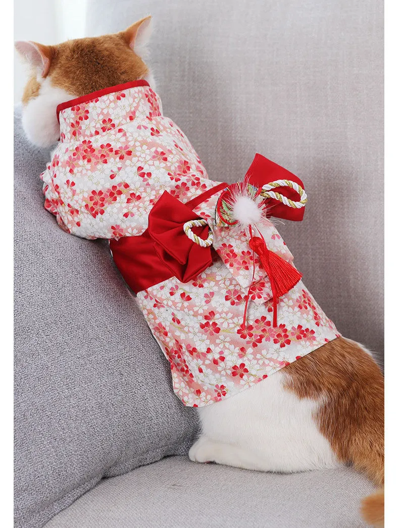 Cat Kimono – Traditional Japanese Outfit for Pets