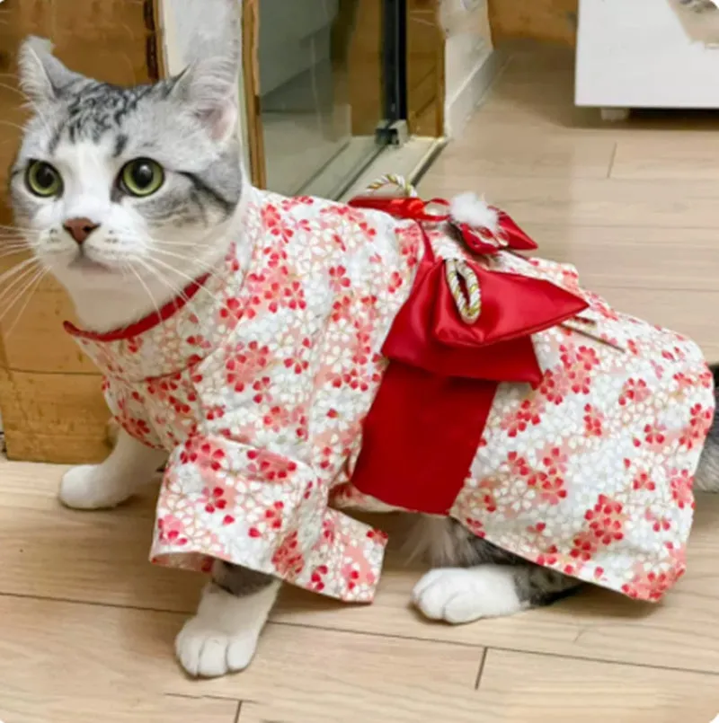 Cat Kimono – Traditional Japanese Outfit for Pets