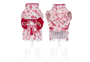 Cat Kimono – Traditional Japanese Outfit for Pets