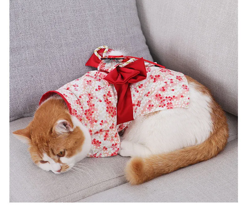 Cat Kimono – Traditional Japanese Outfit for Pets