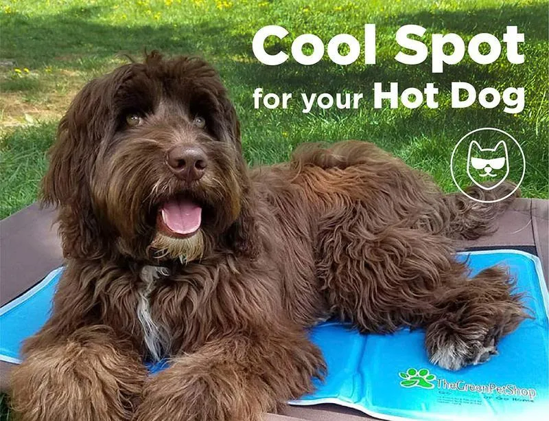 Cooling Pet Pad by The Green Pet Shop