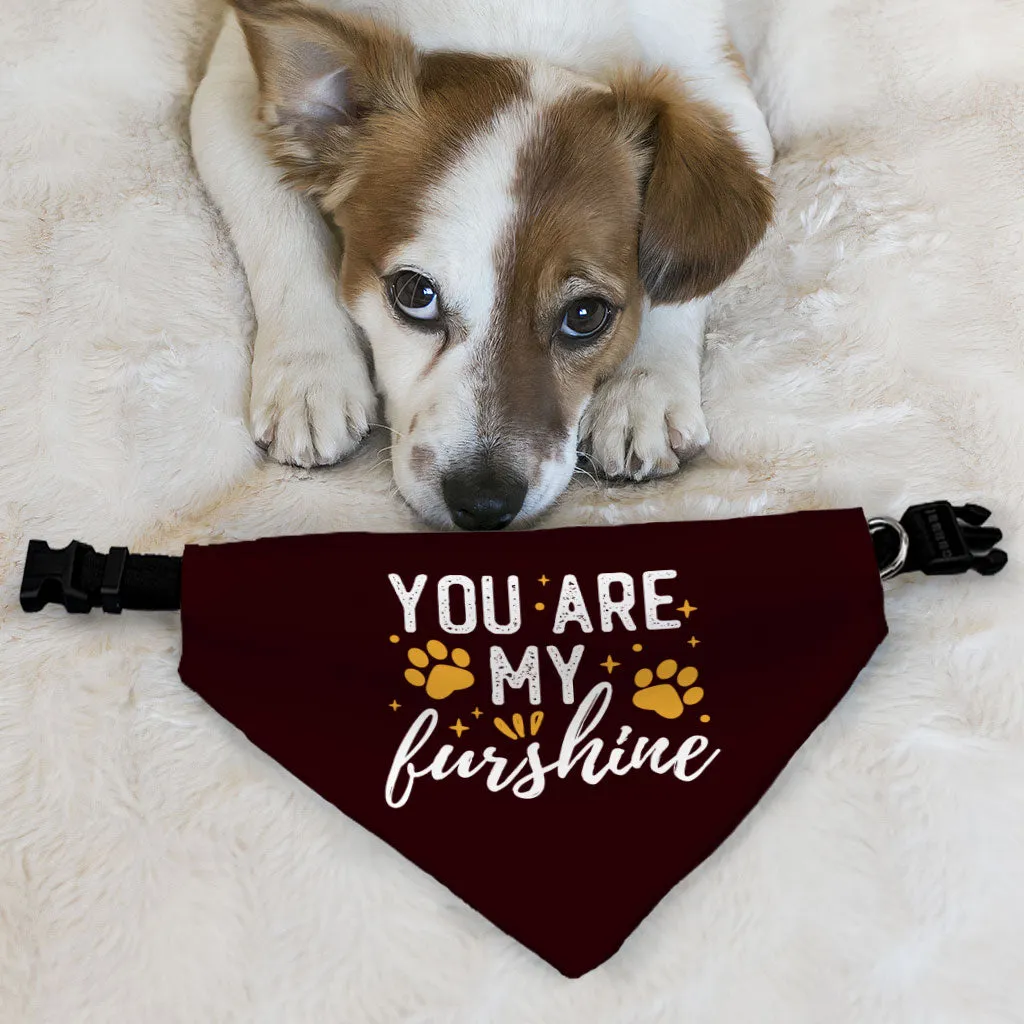Cute Quote Pet Bandana Collar - Furshine Scarf Collar - Text Design Dog Bandana