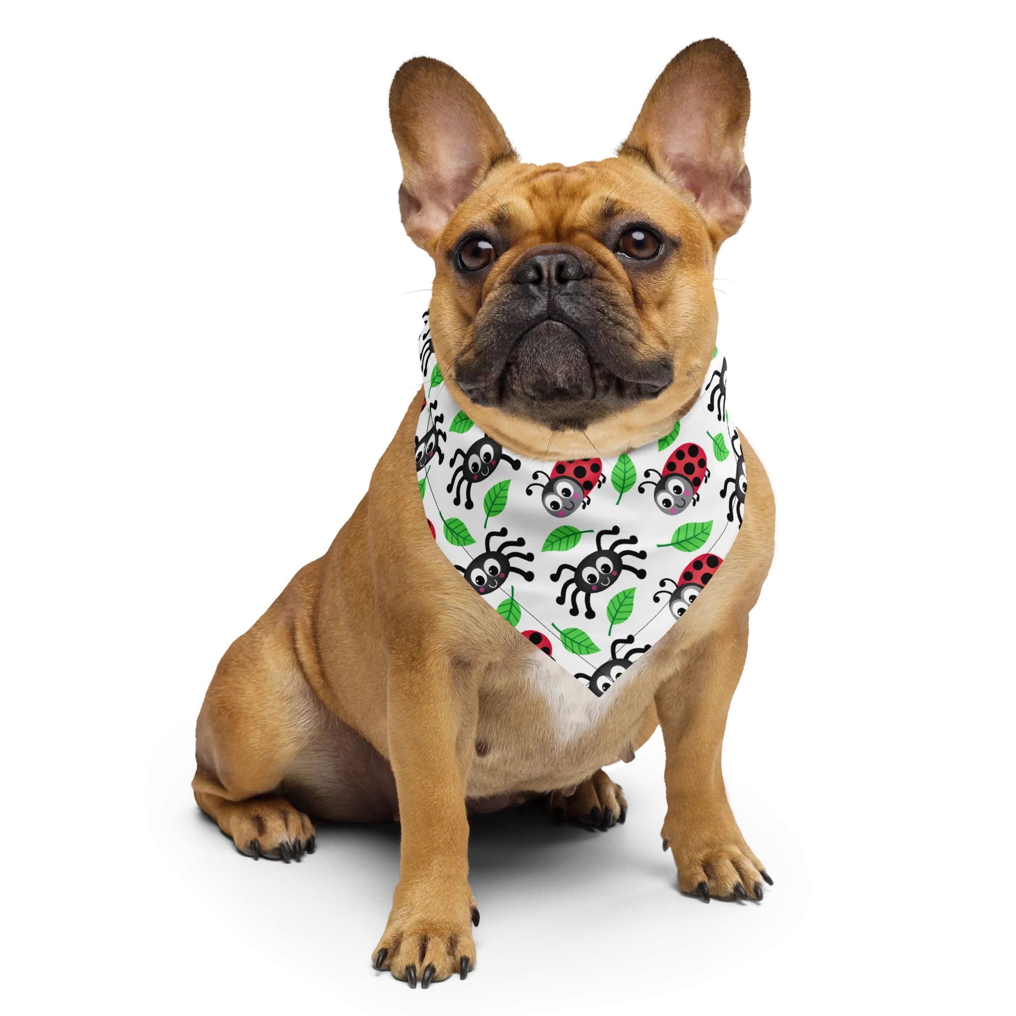 Dog Bandana - Spiders and Ladybugs
