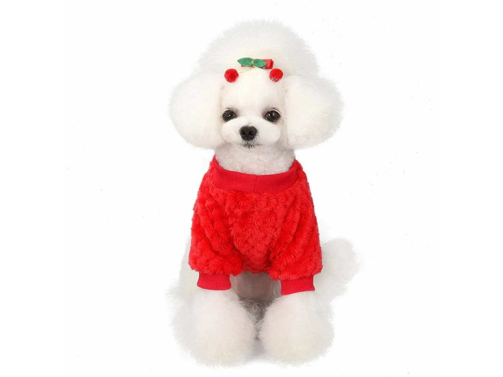 dog clothes Red S AWYP-202001