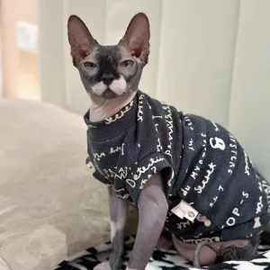 Fashion Cotton Vest for Sphynx Cat | Grey Short Sleeve Shirt for Kittens | Soft Coat for Devon Rex | Spring and Summer Costume | Alo Trendy
