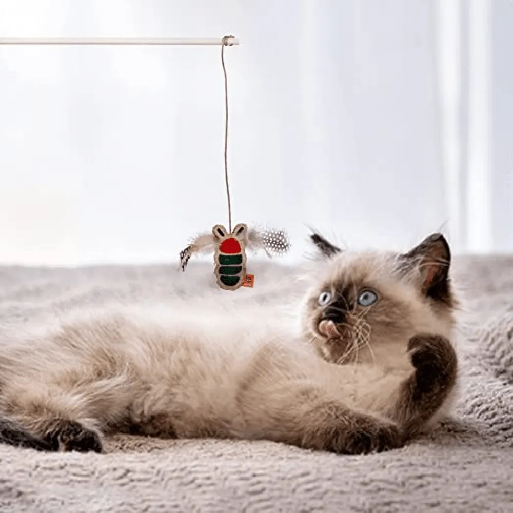 Fofos Scandi Beetle with Wooden Stick Toy for Cats