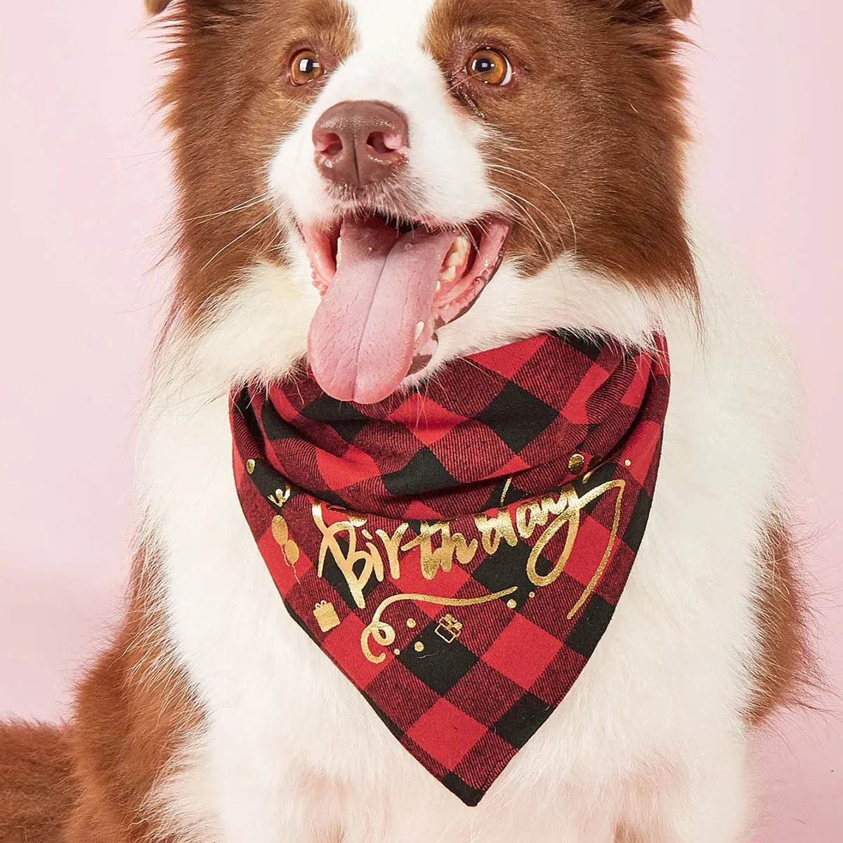 Happy Birthday Plaid Dog Bandana | Triangle Scarf Bib for Small, Medium, and Large Dogs and Cats | Pet Gifts and Party Supplies | Alo Trendy