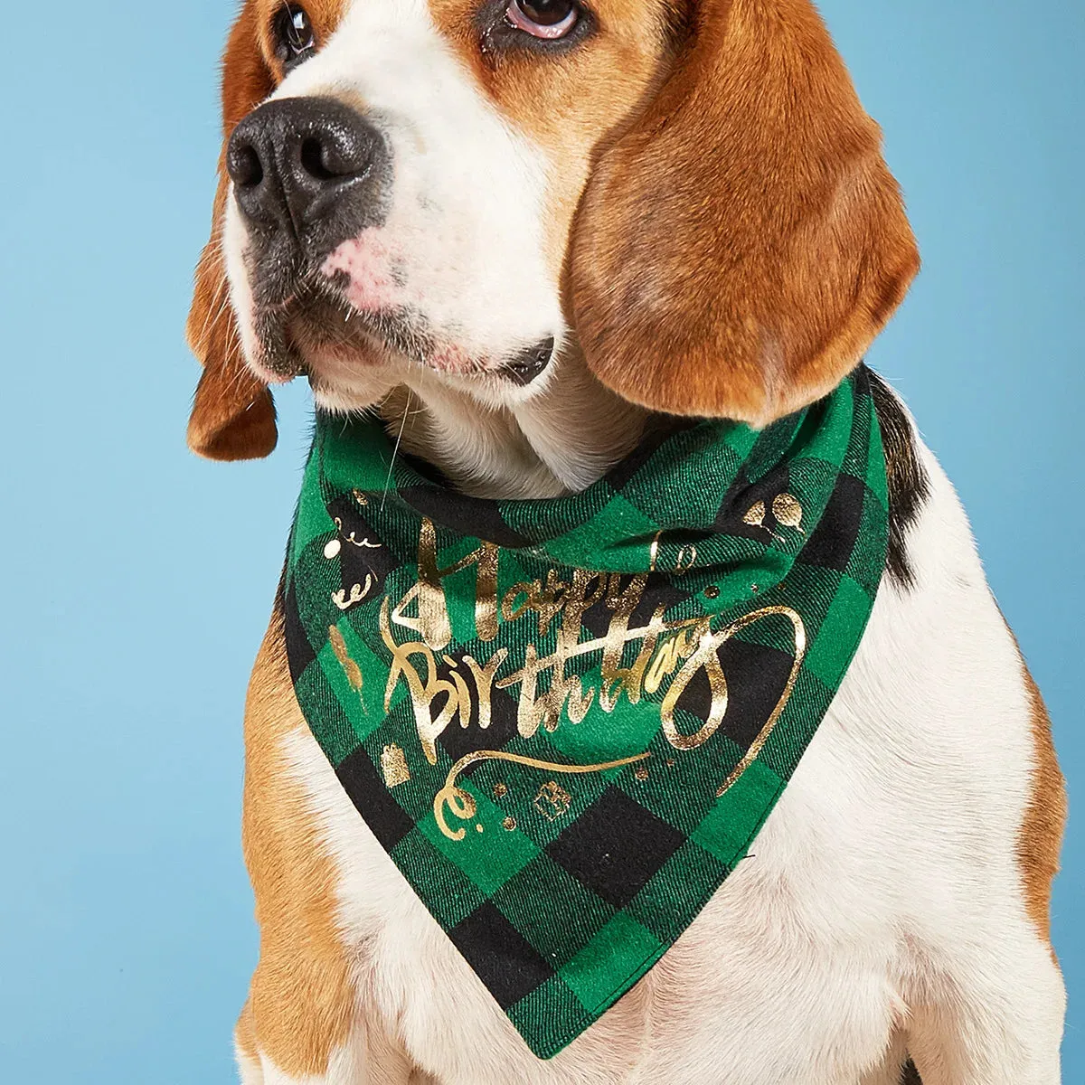Happy Birthday Plaid Dog Bandana | Triangle Scarf Bib for Small, Medium, and Large Dogs and Cats | Pet Gifts and Party Supplies | Alo Trendy