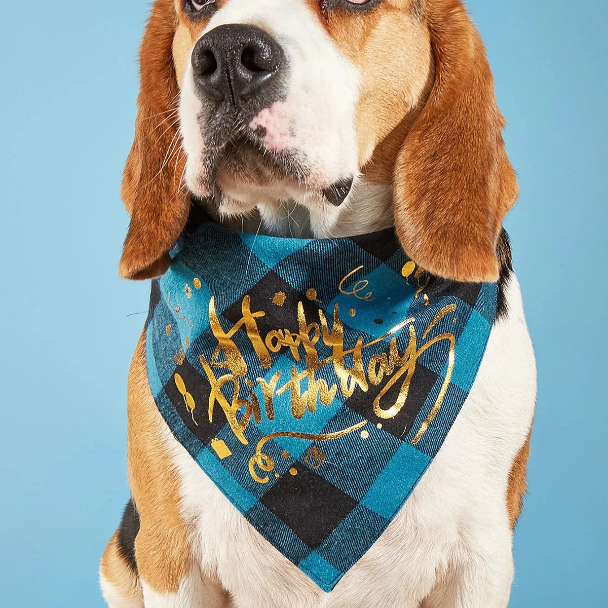 Happy Birthday Plaid Dog Bandana | Triangle Scarf Bib for Small, Medium, and Large Dogs and Cats | Pet Gifts and Party Supplies | Alo Trendy