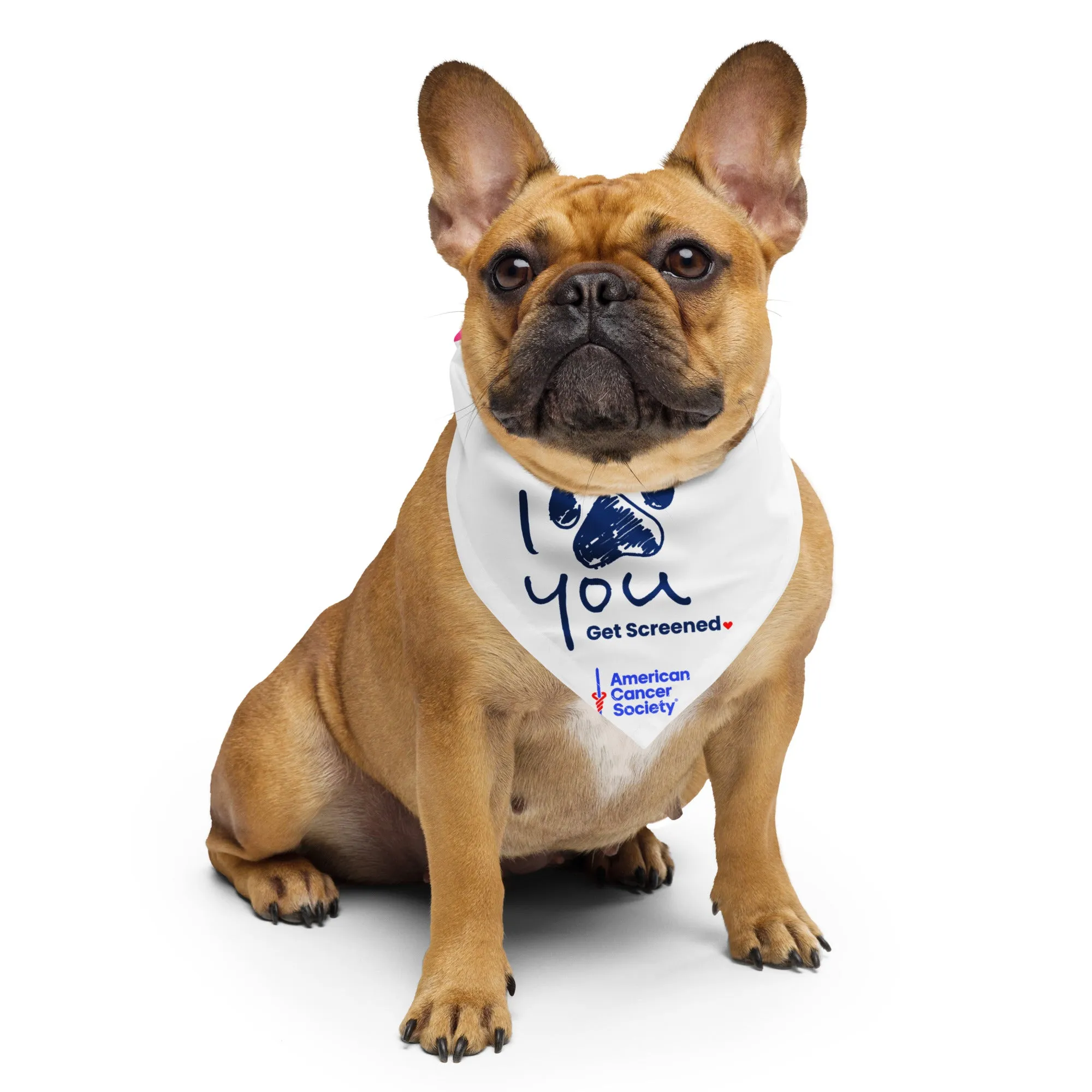 I Love You Get Screened Dogdana Pet Bandana