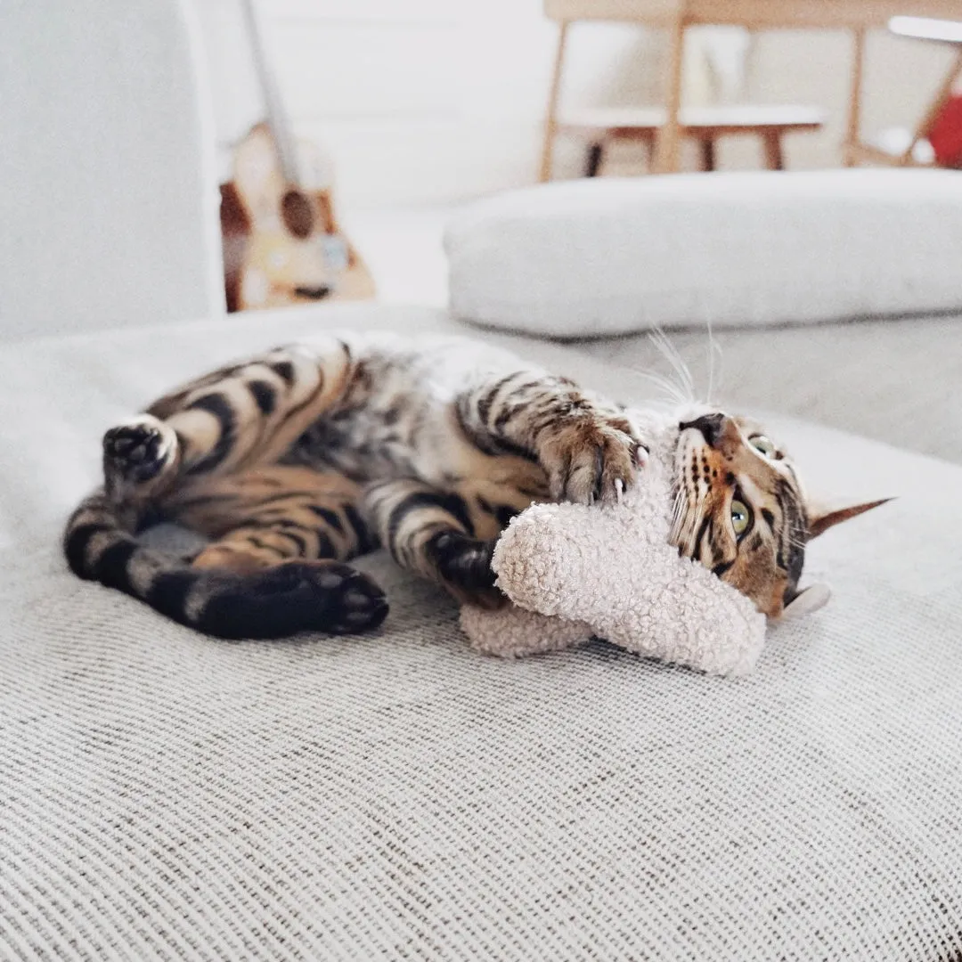 KITTY BREUER
