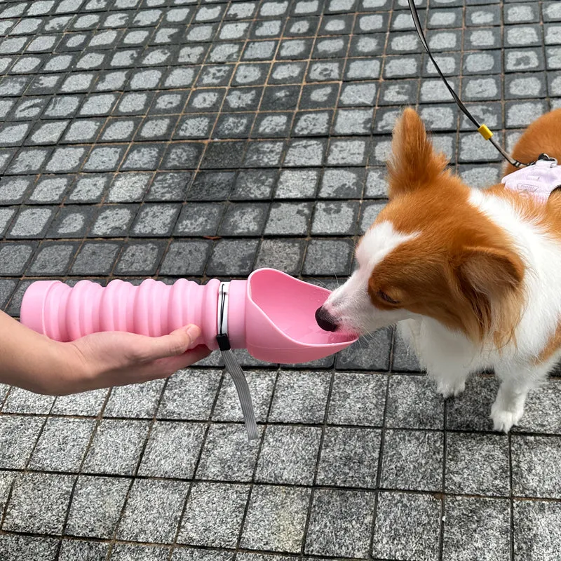 Pet Water Bottle Supplier | Foldable Dog Water Bottle