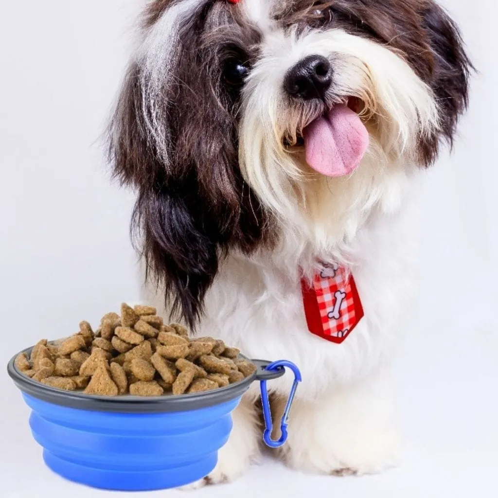 PocoPet Collapsible Travel Dog Bowl