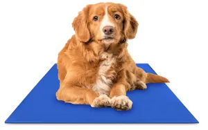 Pressure Activated Cooling Mat