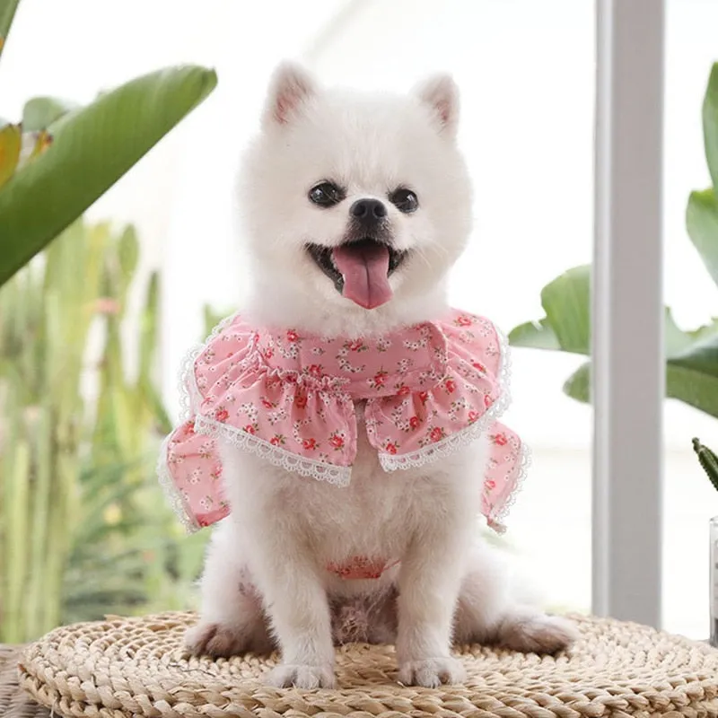 Printed Floral Dress with Harness