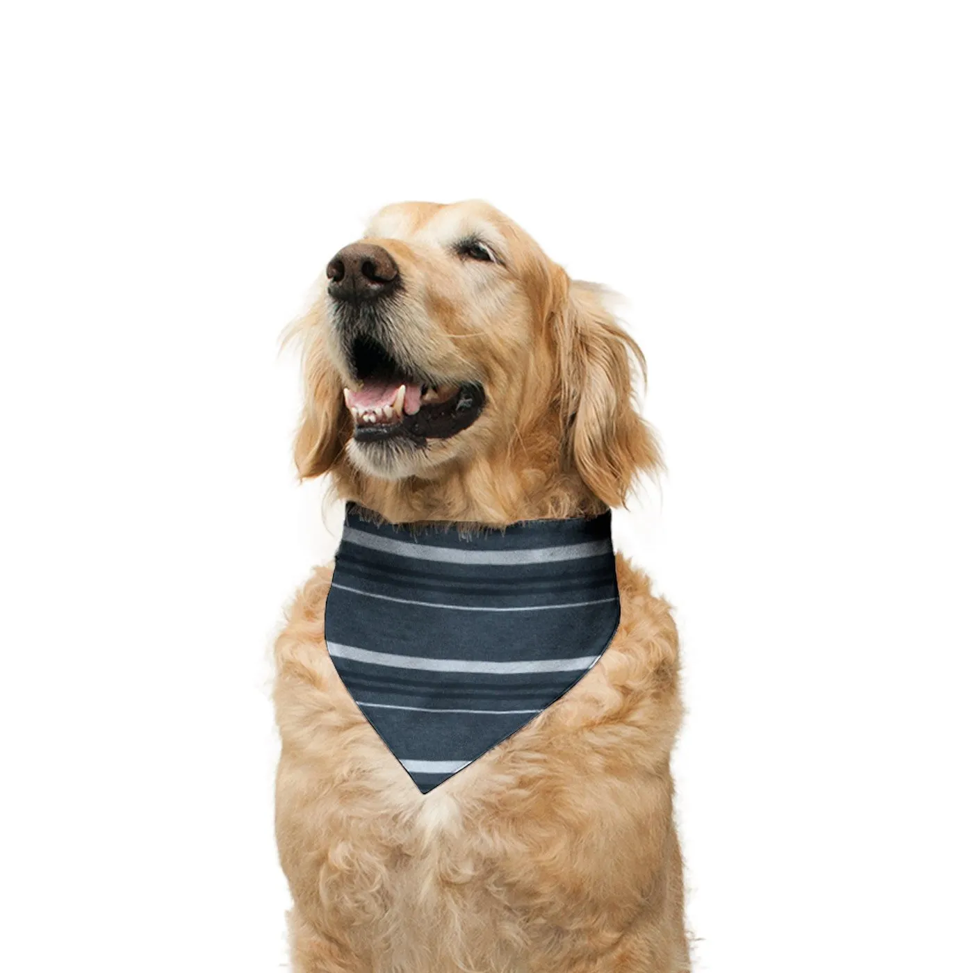 "Cute Butt Psycho" Printed Reversible Bandana for Dogs