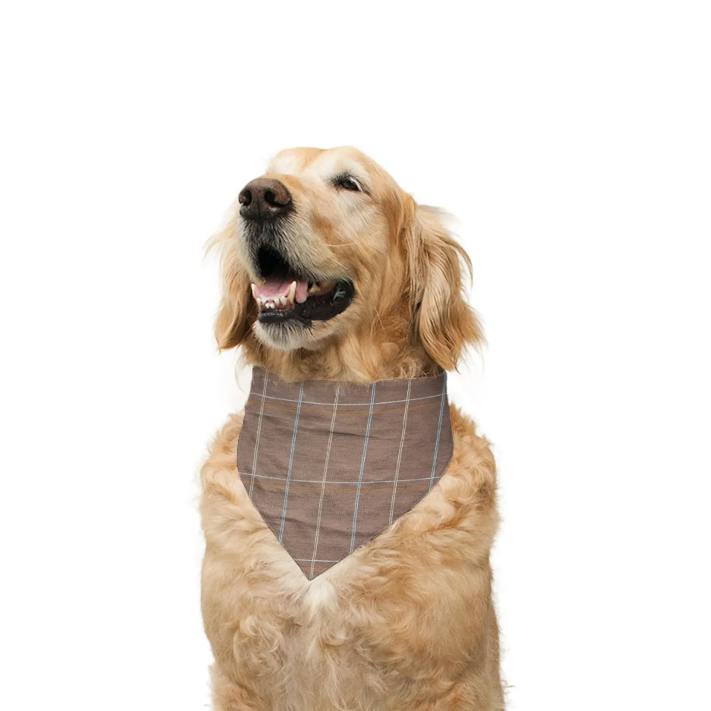 "Cute Butt Psycho" Printed Reversible Bandana for Dogs