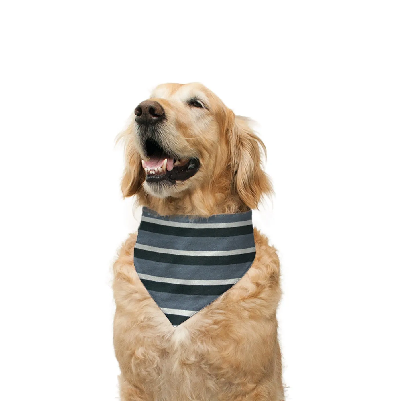 "Cute Butt Psycho" Printed Reversible Bandana for Dogs