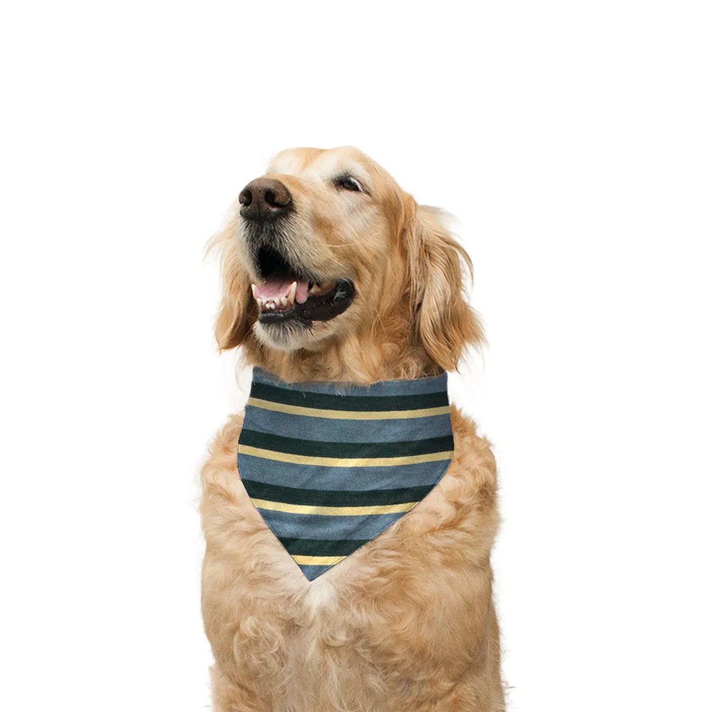 "Cute Butt Psycho" Printed Reversible Bandana for Dogs