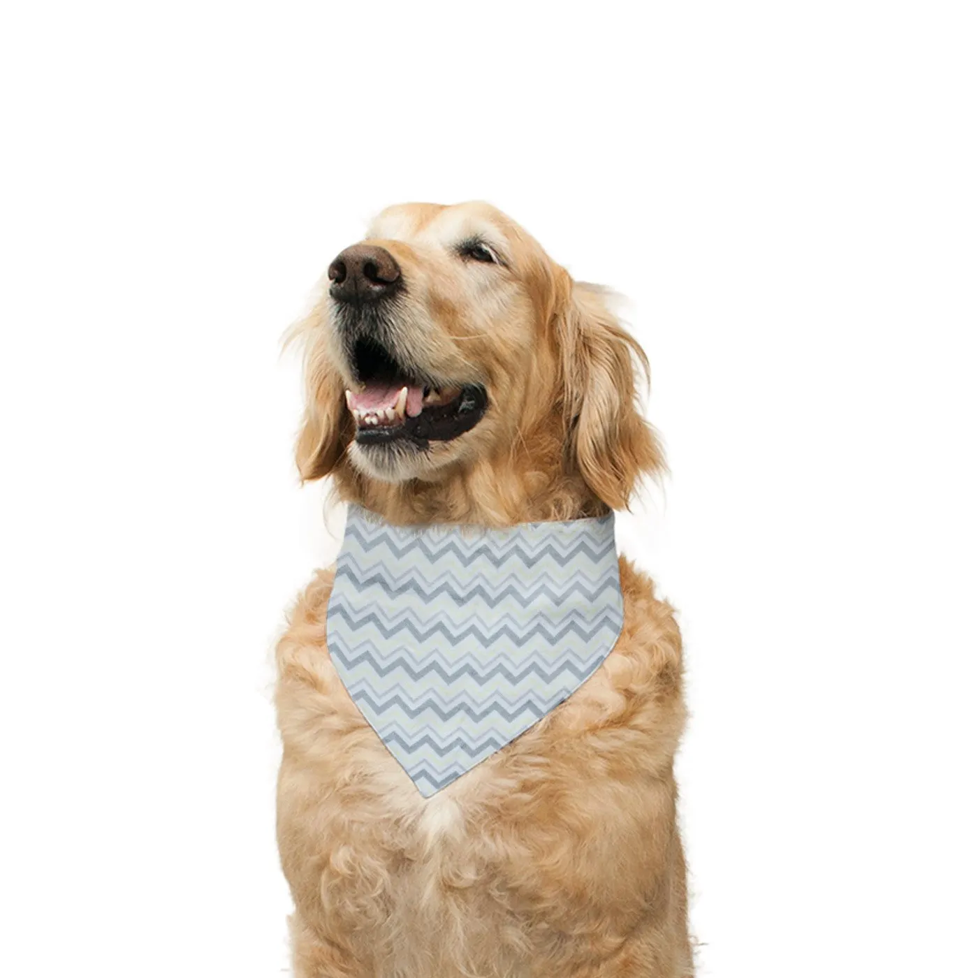 "Cute Butt Psycho" Printed Reversible Bandana for Dogs