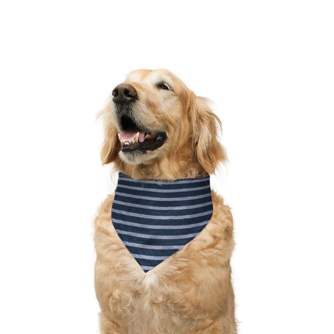 "Cute Butt Psycho" Printed Reversible Bandana for Dogs