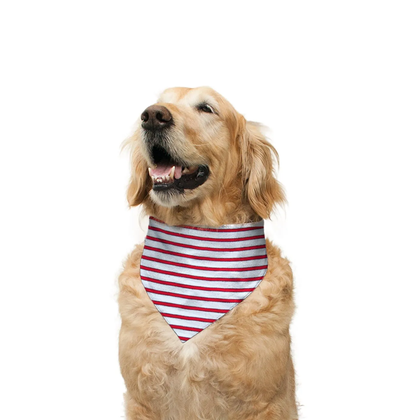 "Cute Butt Psycho" Printed Reversible Bandana for Dogs