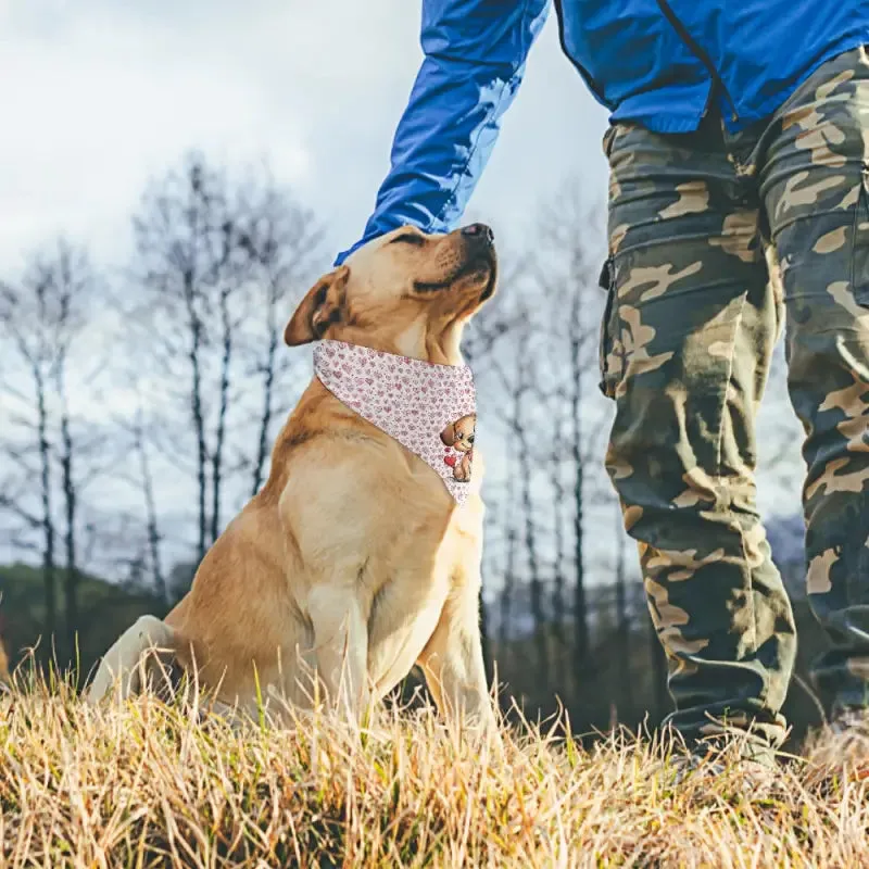 Valentine Hearts pet bandana