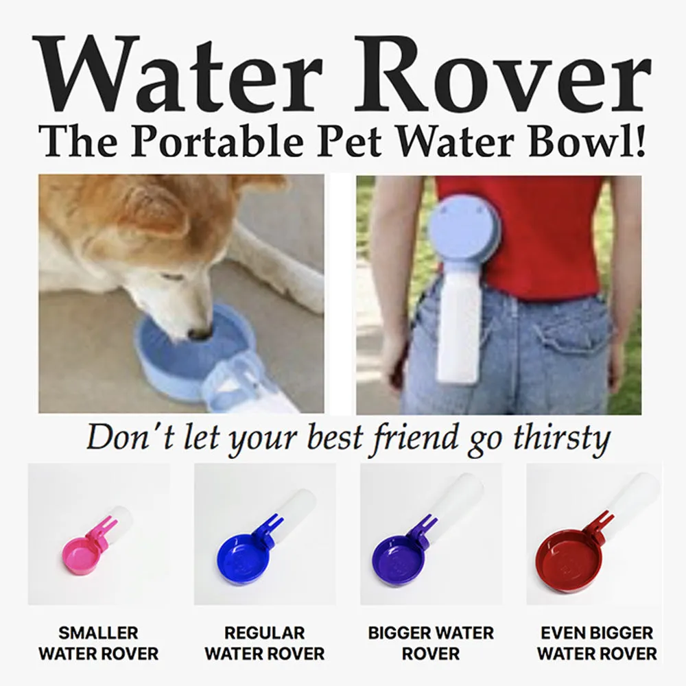 Water Rover Regular 4-Inch Bowl and 15-Ounce Bottle, Purple