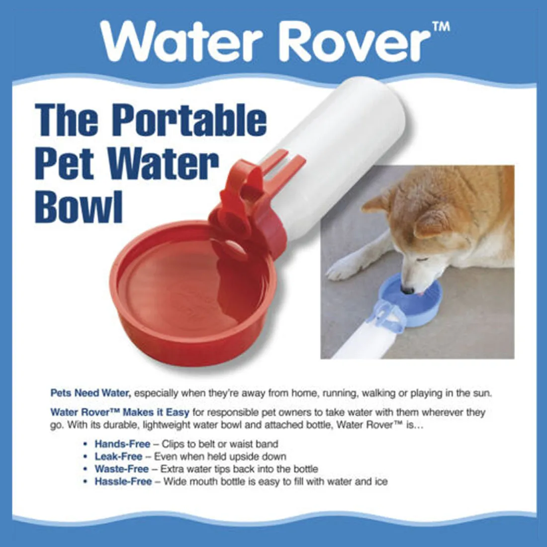 Water Rover Regular 4-Inch Bowl and 15-Ounce Bottle, Purple